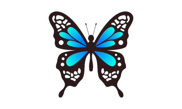 Beautiful color butterfly logo vector art illustration