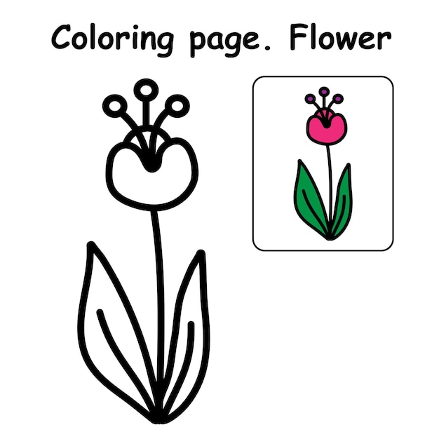 Beautiful Colorful Flower To Be Colored, The Coloring Book For Preschool Kids