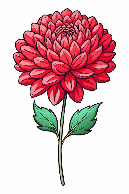 beautiful colorful illustration of crysanthemum flower