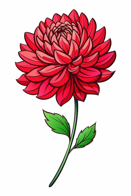 beautiful colorful illustration of crysanthemum flower