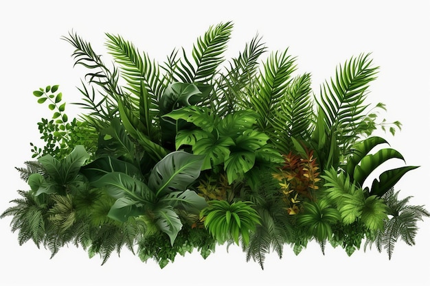 Beautiful composition with fern and other tropical leaves on white background