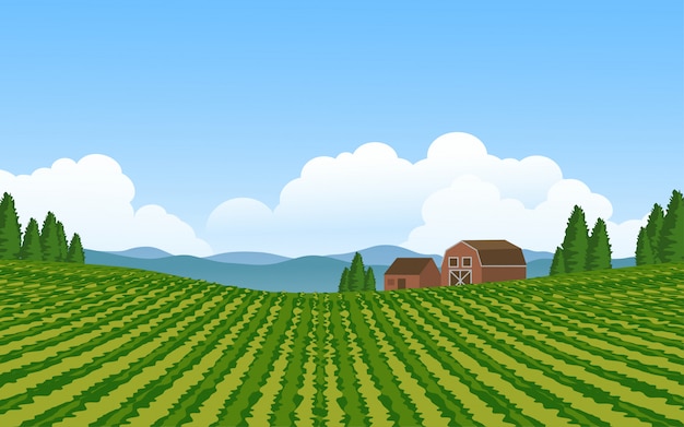 Beautiful countryside with vineyards