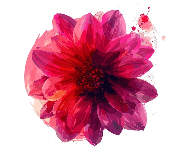 Beautiful Dahlia Watercolor Floral Vector Illustration Creative Dahlia Watercolor Floral Vector Art