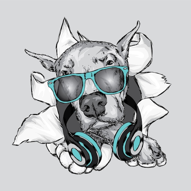 Vector beautiful dog with glasses and headphones