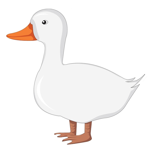 Beautiful duck vector illustration