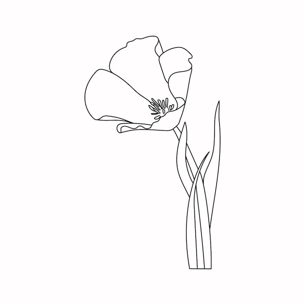 Beautiful Easy Flowers Coloring book Cute Educational Flowers Coloring Page For Kids