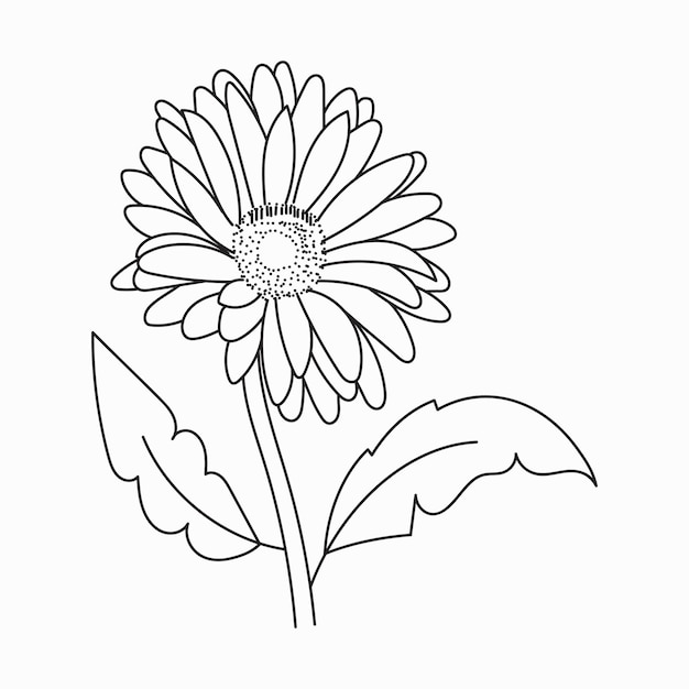 Beautiful Easy Flowers Coloring book Hand drawn Black and white Flowers