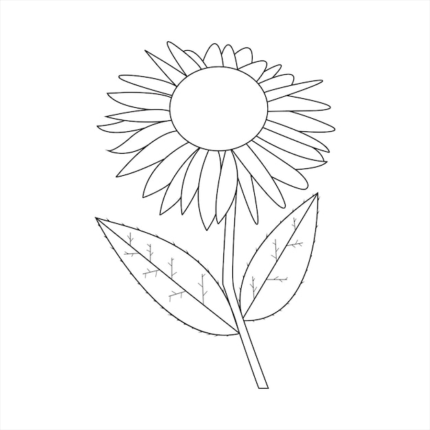 Beautiful Easy Flowers Coloring book