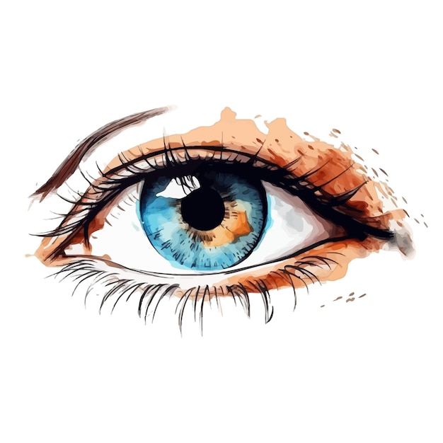 Beautiful female eye Cute drawing eye Hand drawn watercolor eye