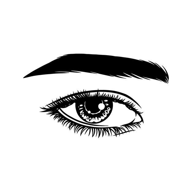 Vector beautiful female eye with eyebrows and long eyelashes sexy look fashion illustration