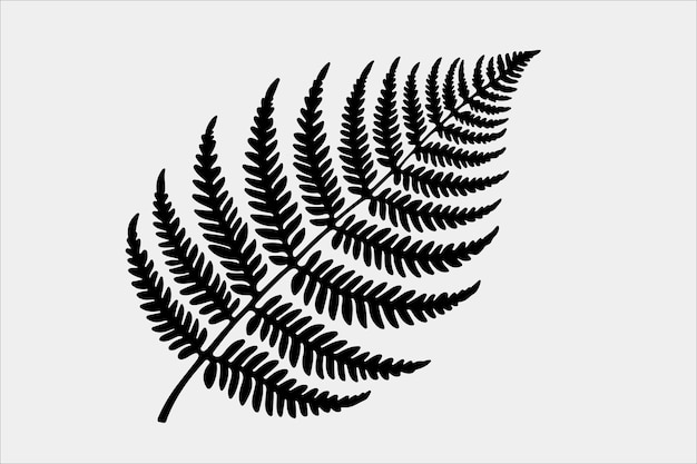 A beautiful Fern Leaf Plant Life Silhouette design