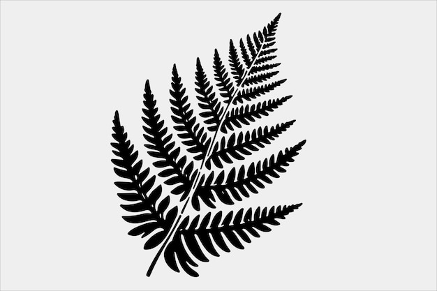 A beautiful Fern Leaf Plant Life Silhouette design