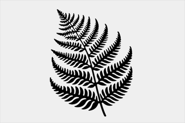 Vector a beautiful fern leaf plant life silhouette design