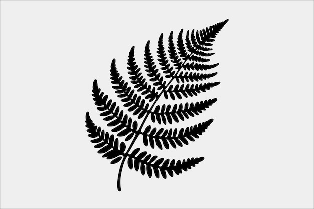 Vector a beautiful fern leaf plant life silhouette design