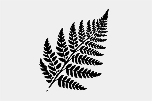 Vector a beautiful fern leaf plant life silhouette design