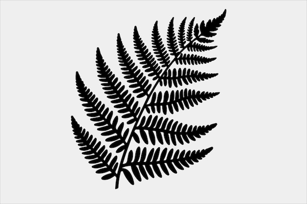 A beautiful Fern Leaf Plant Life Silhouette design