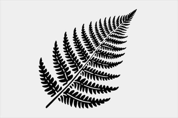 Vector a beautiful fern leaf plant life silhouette design