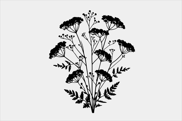 Vector a beautiful fern leaf plant life silhouette design