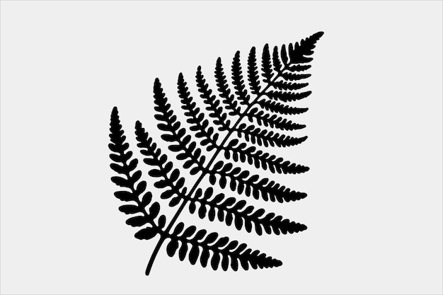 A beautiful Fern Leaf Plant Life Silhouette design