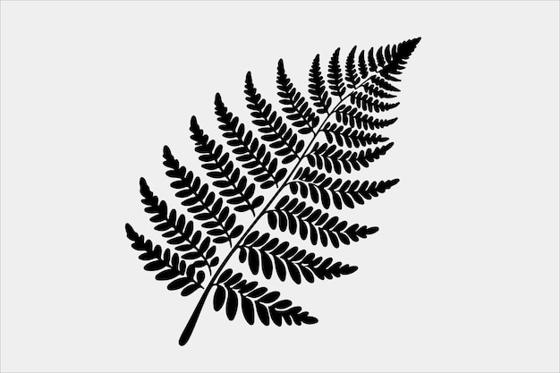 A beautiful Fern Leaf Plant Life Silhouette design