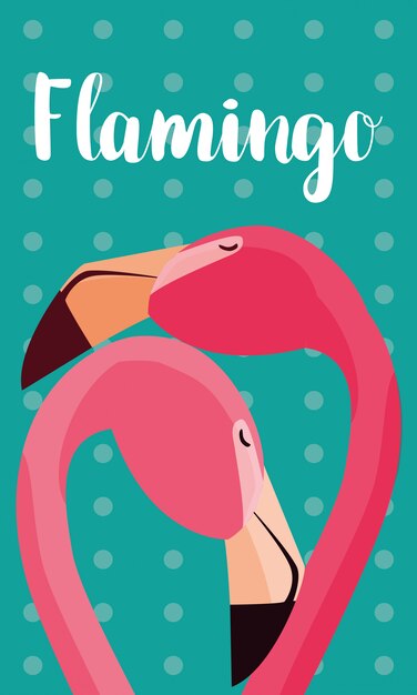 Beautiful flamingos birds couple heads