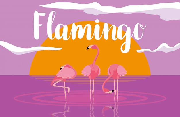 Beautiful flamingos birds flock in the landscape