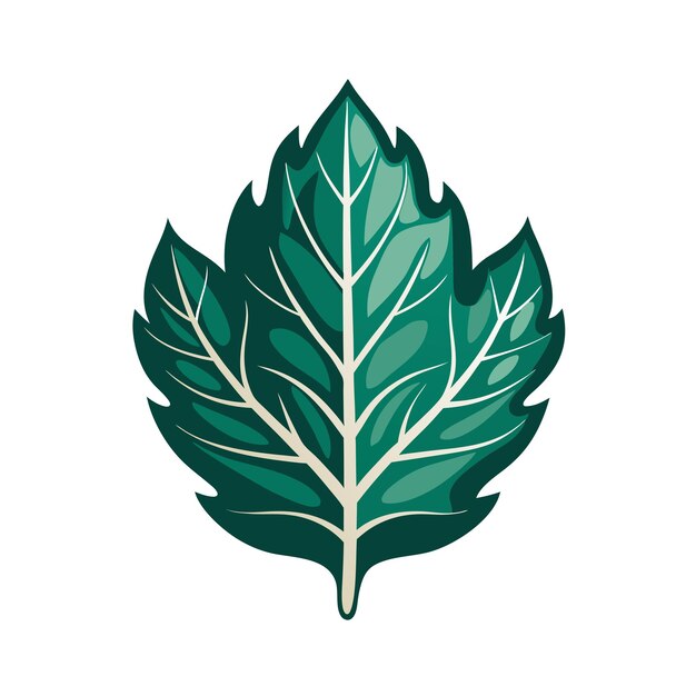 Vector beautiful flat style leaf icon vector illustration