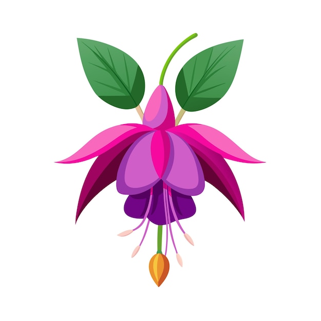 Beautiful Flower flat style vector illustration