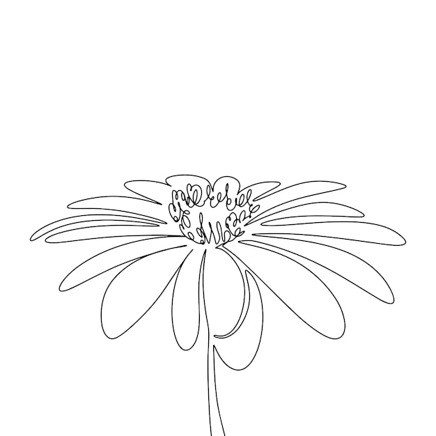 Beautiful flower isolated on white background Line art blossom flower One line continuous abstract