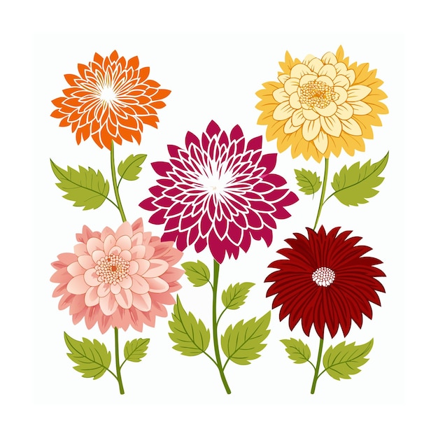 Vector beautiful flower minimalist floral vector illustration