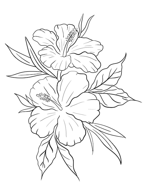 beautiful flower outline for coloring book