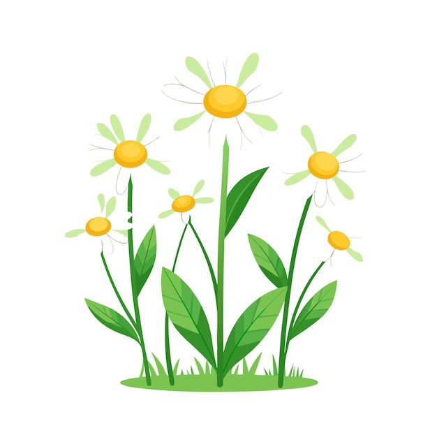 Beautiful Flower Plants Garden flat style vector illustration