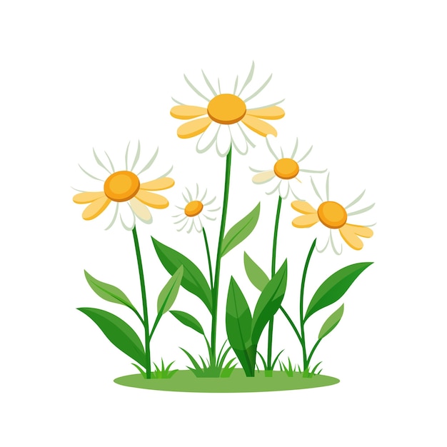 Beautiful Flower Plants Garden flat style vector illustration