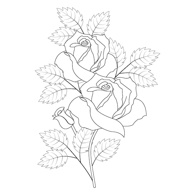 Beautiful flower with leaves floral vector in illustration graphic design