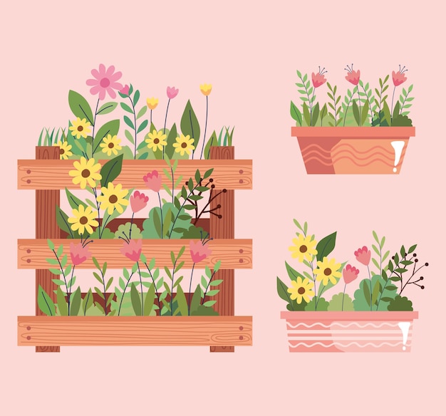 Beautiful flowers garden in pots and wooden basket vector illustration design