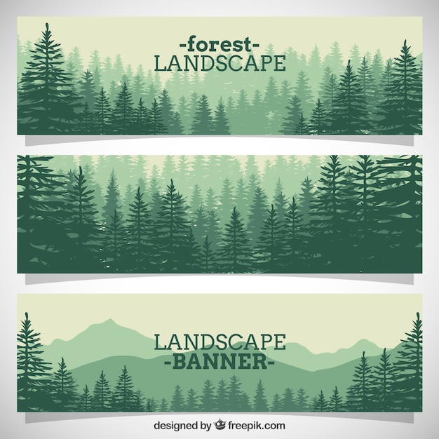 Beautiful forest full pines banners