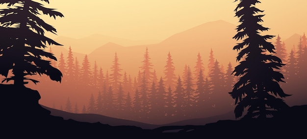 Beautiful forest and mountains view at sunset