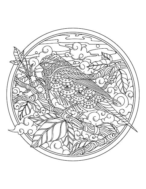 Beautiful frame with hand drawn bird branches flower and plants with coloring book and coloring page