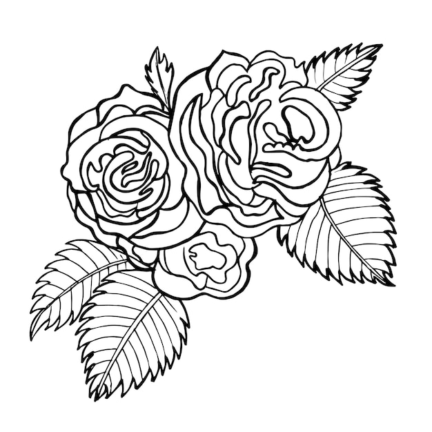 Beautiful Hand Drawn Black and White Floral Element