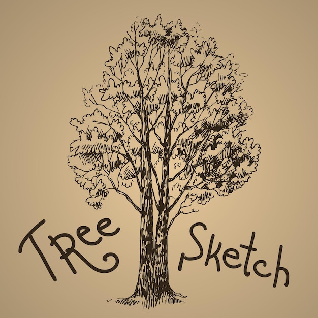 Beautiful hand drawn tree for your design