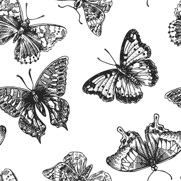 Beautiful hand drawn vector illustration sketching of butterflies Boho style seamless pattern Use for postcards print for tshirts posters wedding invitation tissue linens