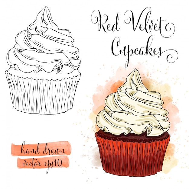 Beautiful hand drawn watercolor red velvet cupcakes