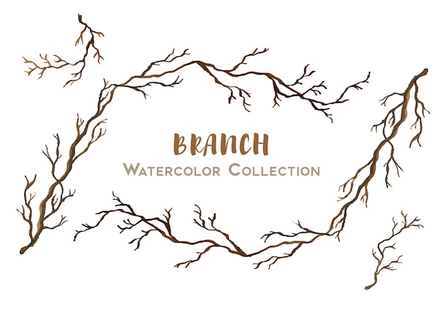 Beautiful handdrawn watercolor collection of branch