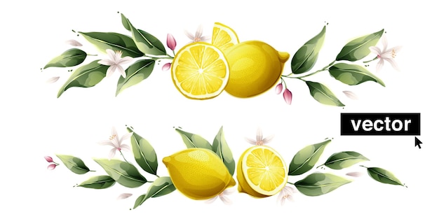 Beautiful horizontal vector pattern with watercolor yellow lemon fruits leaves and flowers