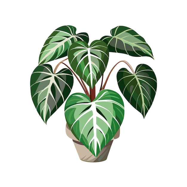 Vector beautiful houseplant vector illustration concept