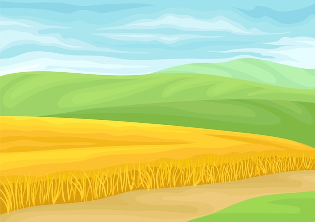 Beautiful landscape with a field of wheat.