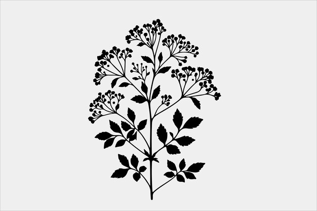 Vector a beautiful leaf plant life silhouette design