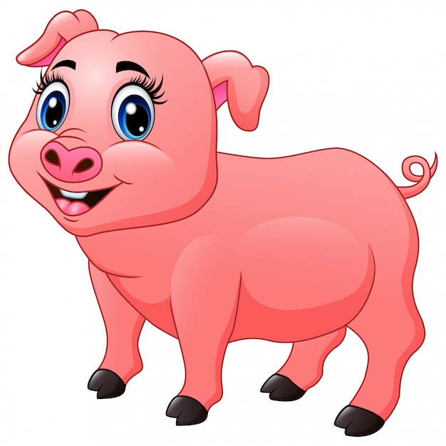 Beautiful little pig cartoon