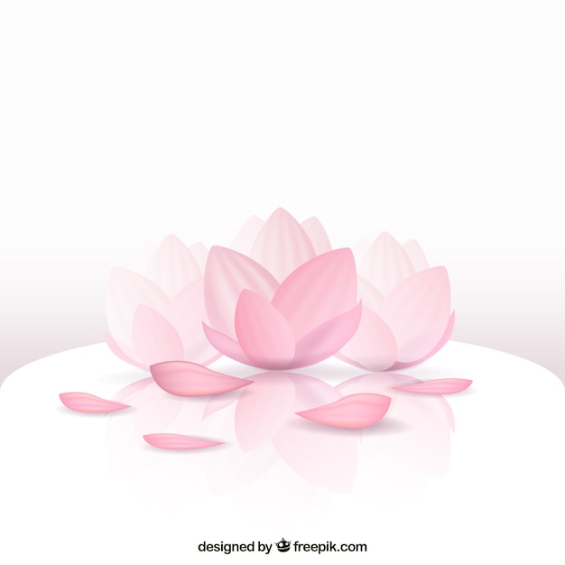 Vector beautiful lotus flower