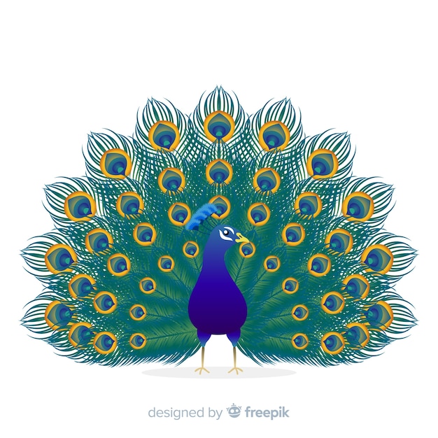 Beautiful peacock background